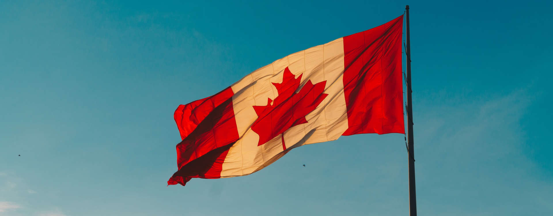 canada-govt HEL Blog post